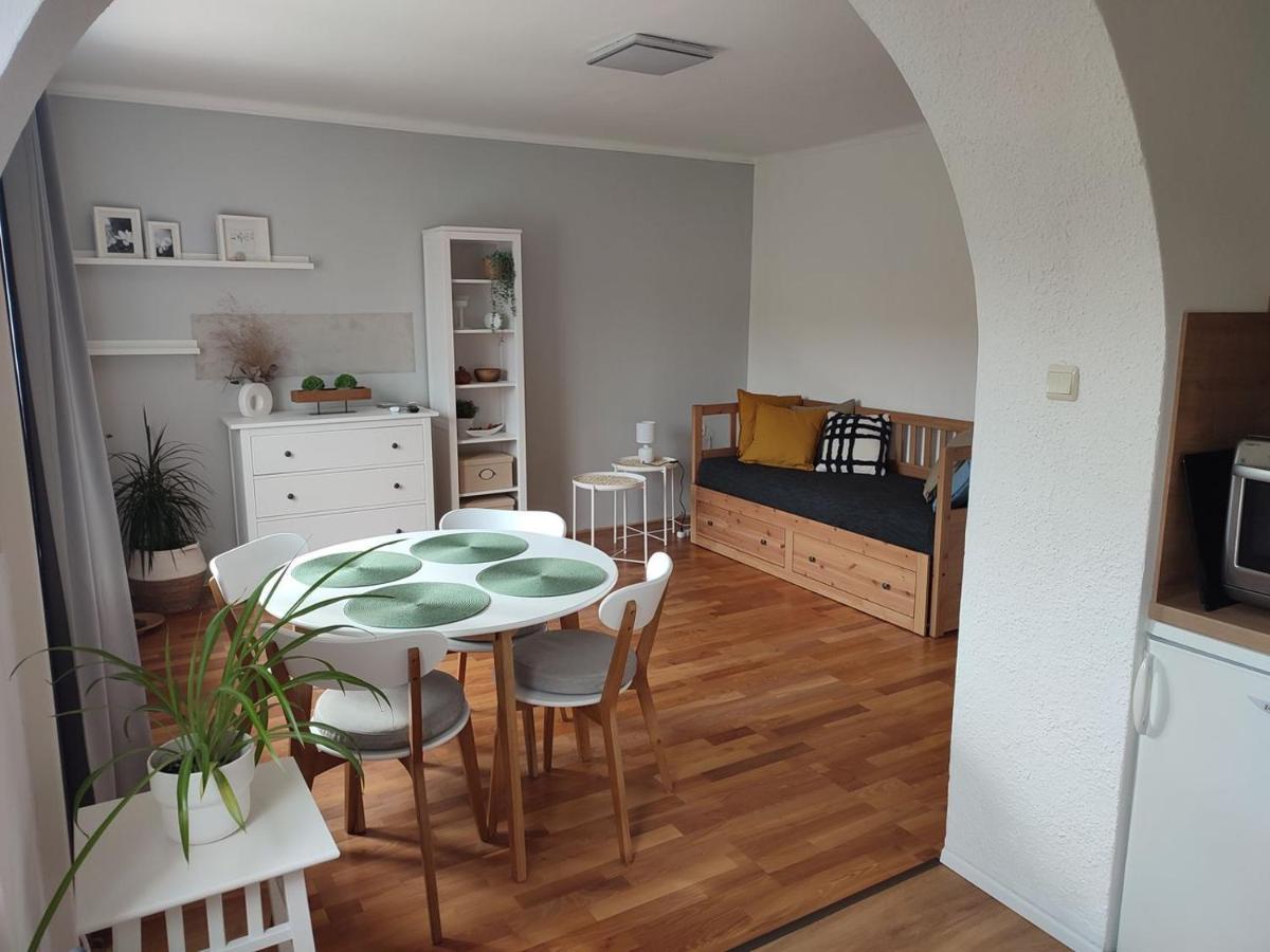 Apartman Lenka Borsice Экстерьер фото